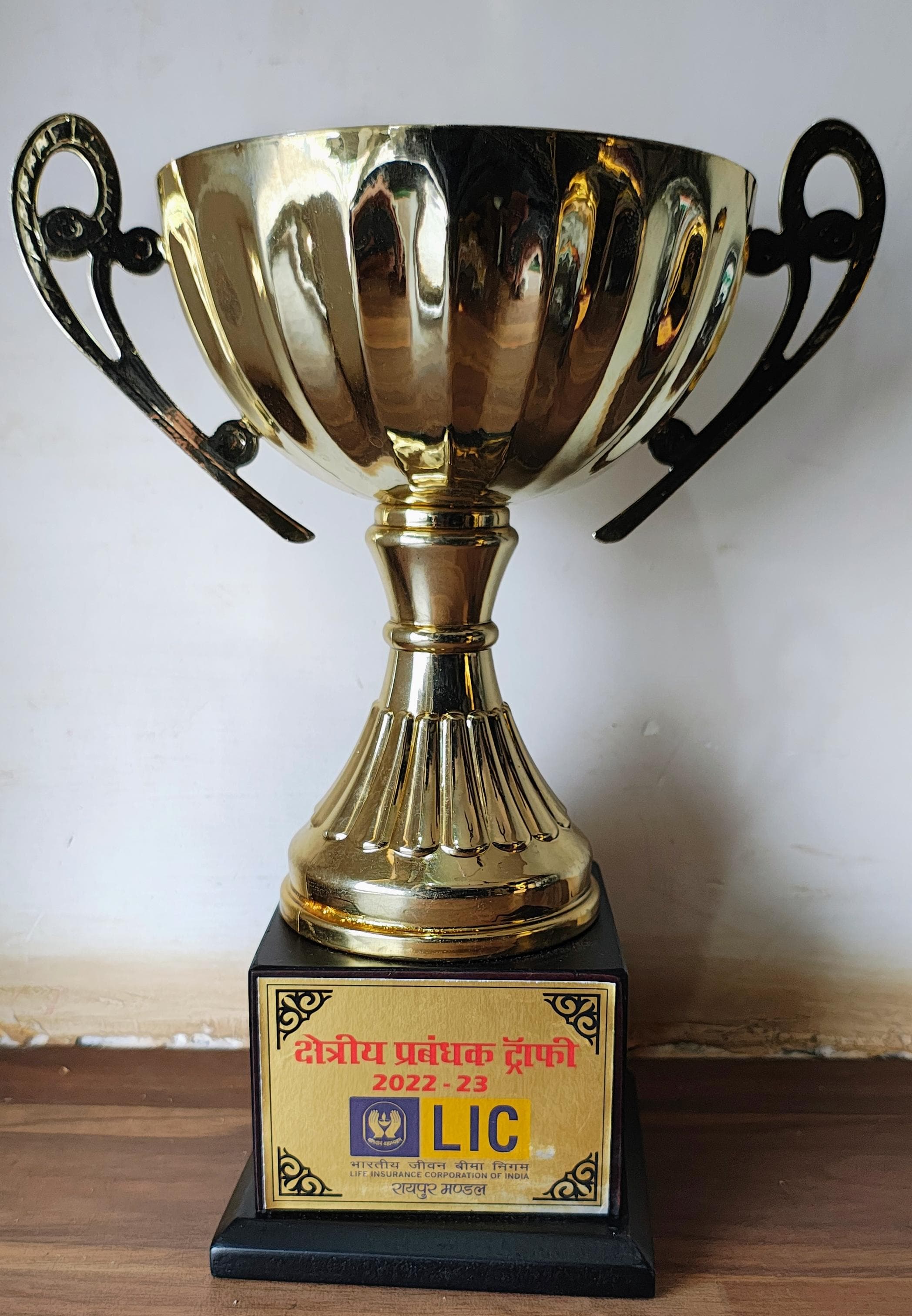 Trophy For Achievement